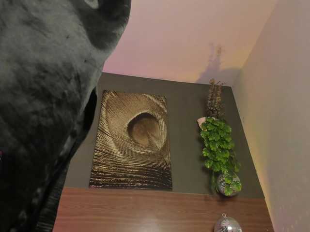 GinebraFox live cam on BongaCams