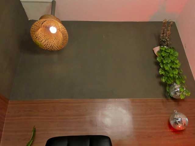 GinebraFox live cam on BongaCams