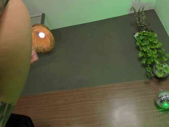 GinebraFox webcam