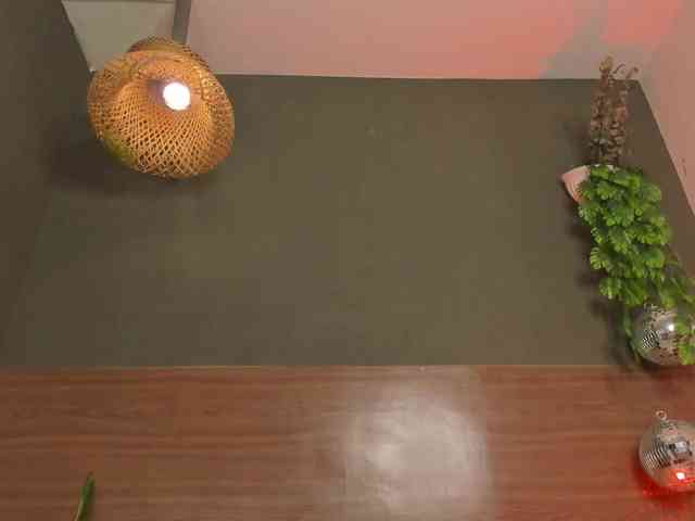GinebraFox webcam