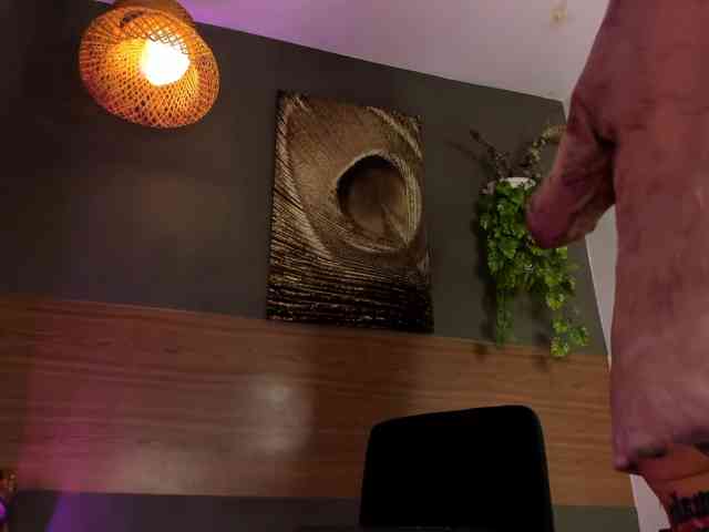GinebraFox webcam