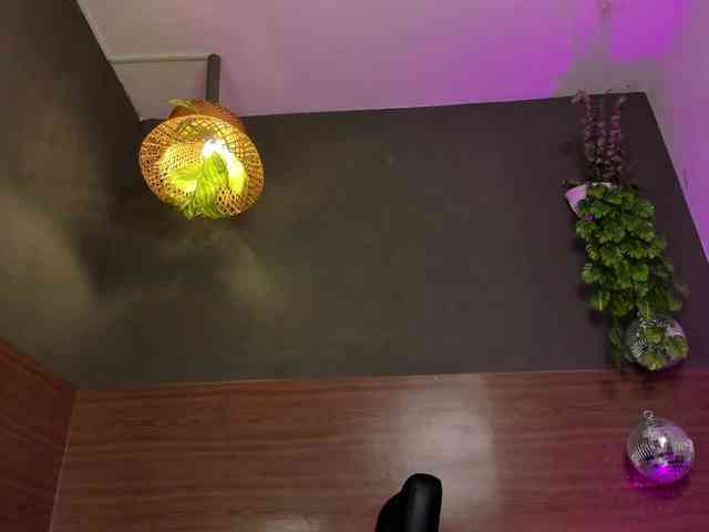 GinebraFox webcam
