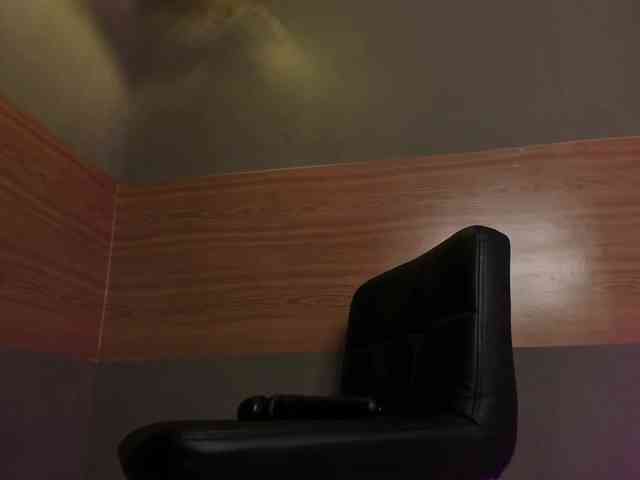 GinebraFox webcam