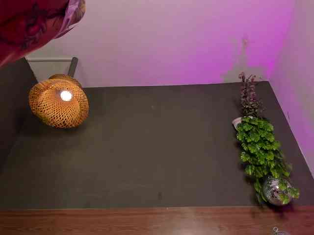 GinebraFox webcam