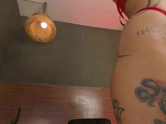 GinebraFox webcam