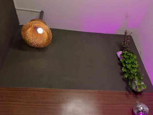 GinebraFox webcam