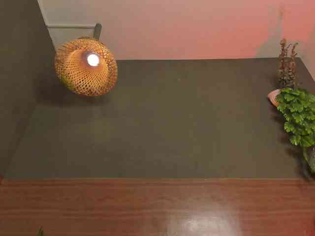 GinebraFox webcam