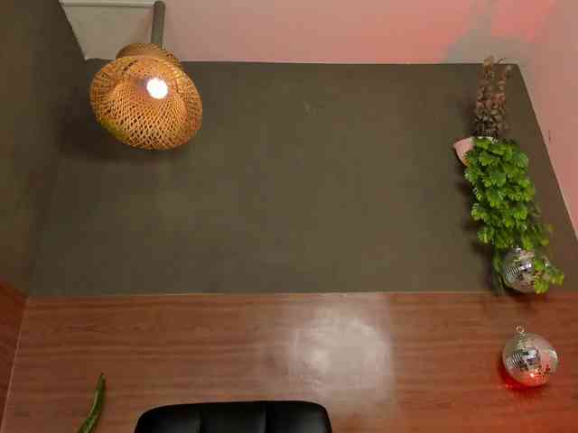 GinebraFox webcam