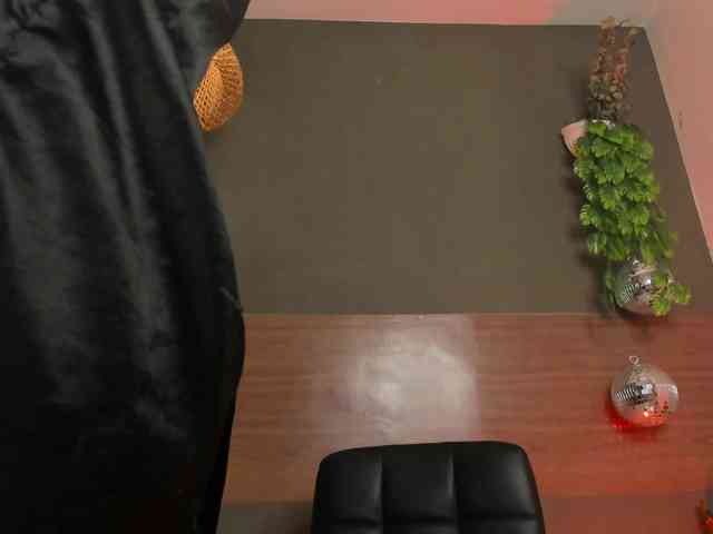 GinebraFox webcam