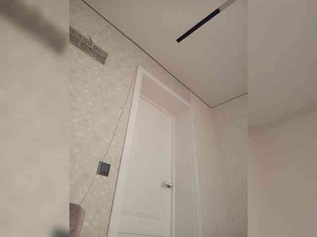 Модель: Black_chick