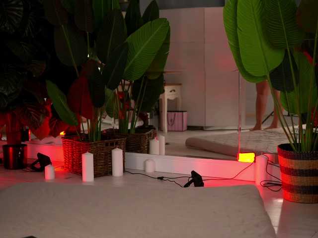 AvaReed live cam on BongaCams