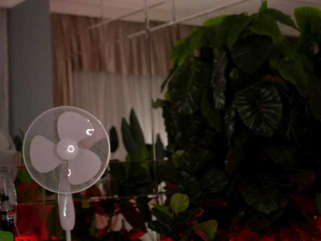 AvaReed live cam on BongaCams