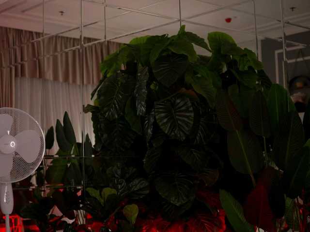 AvaReed live cam on UnifiedCams