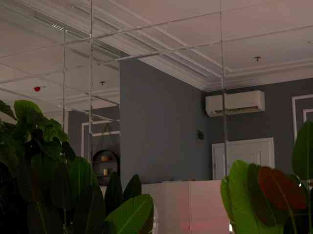 AvaReed webcam