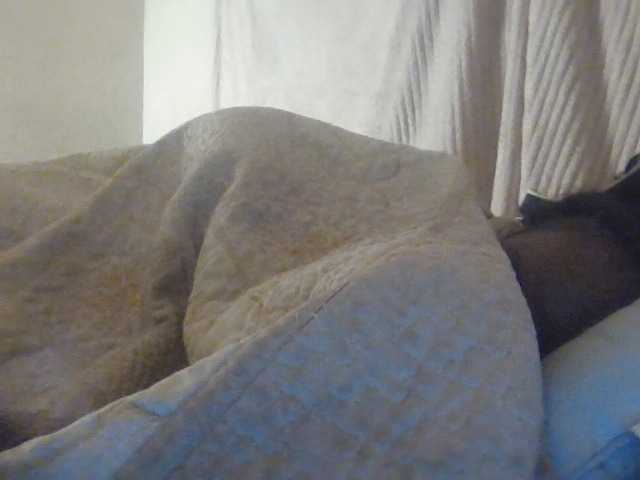 Quaylababe1