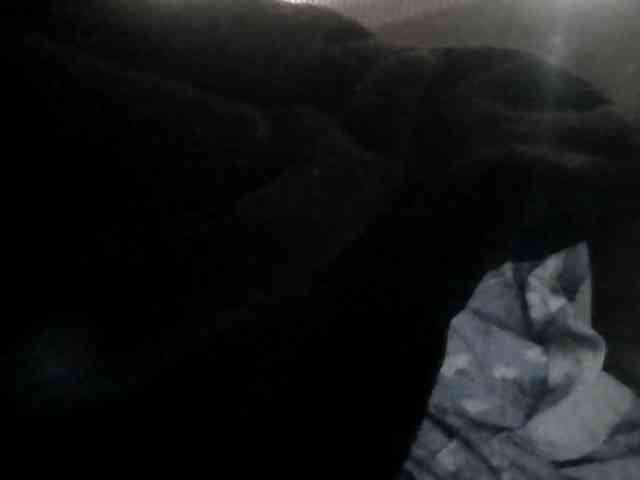 Quaylababe1 webcam