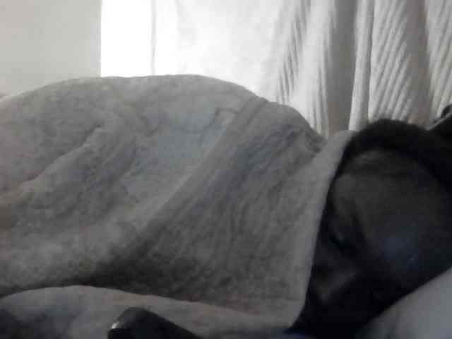 Quaylababe1 webcam