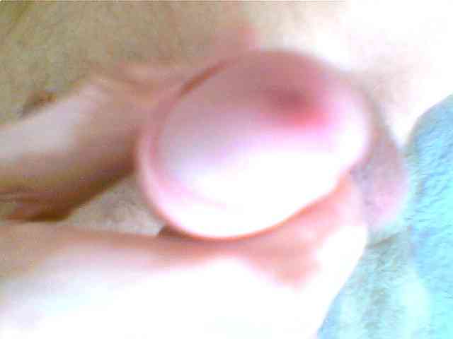 nik2024 Sex Cam Show