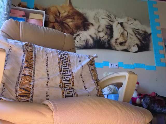 Mistress-Gwen live cam on BongaCams
