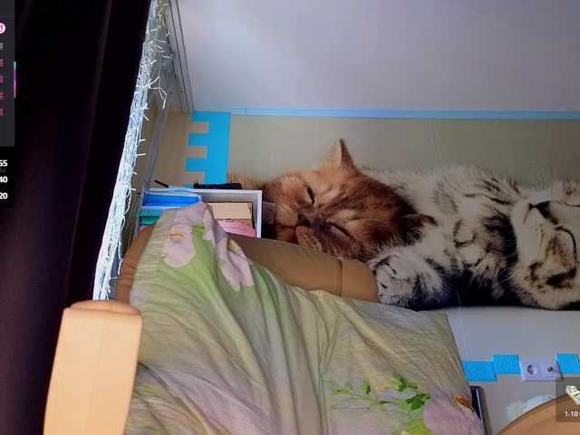 Preview of mistress-gwen