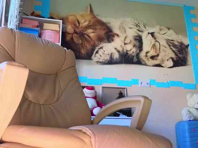 Mistress-Gwen webcam