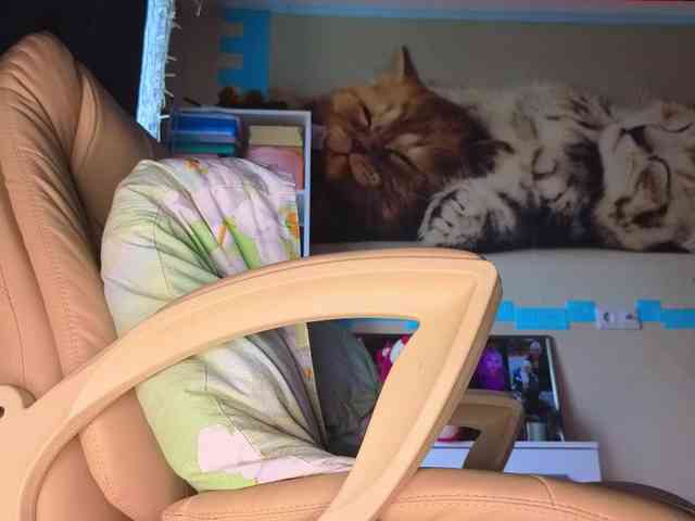 Mistress-Gwen webcam