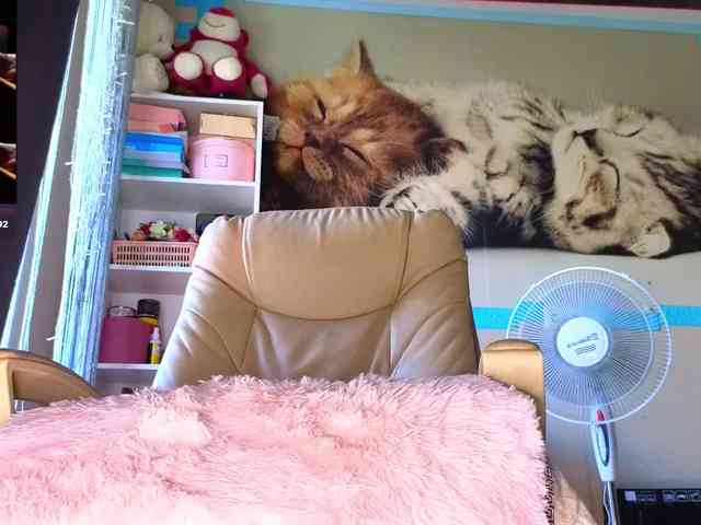 Mistress-Gwen webcam