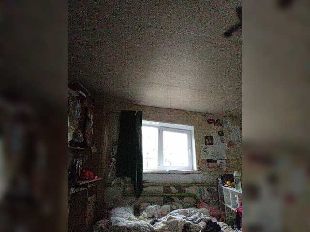 Kaylamurmur