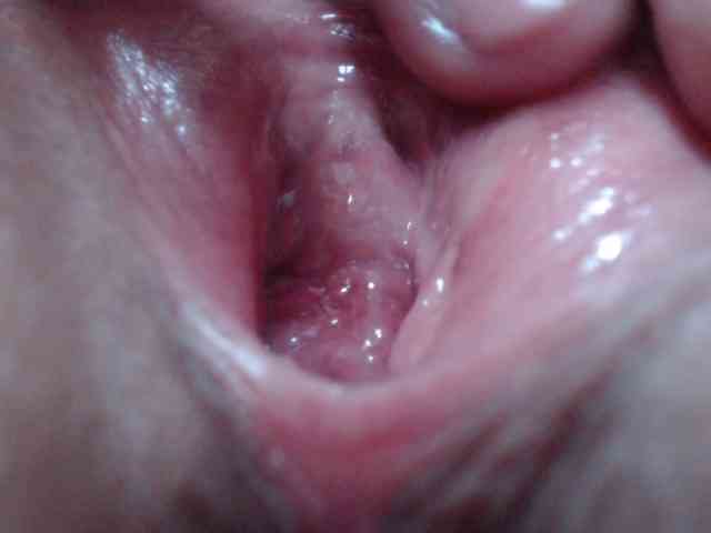 Modelo: LADYQUEEN520