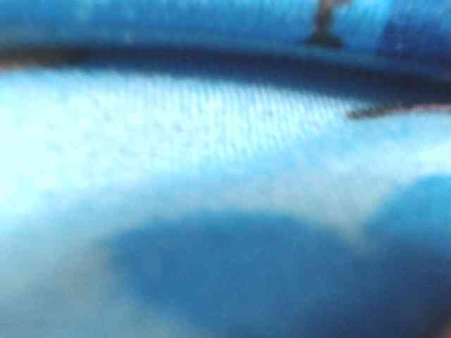 LADYQUEEN520 webcam