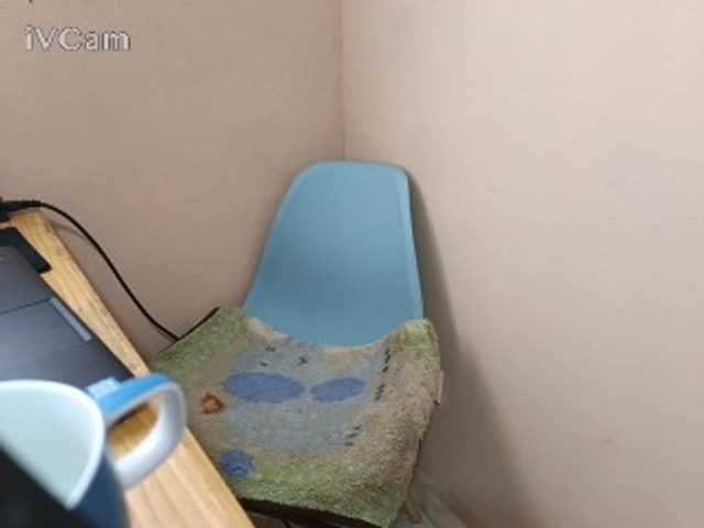 Missaudreys live webcam show