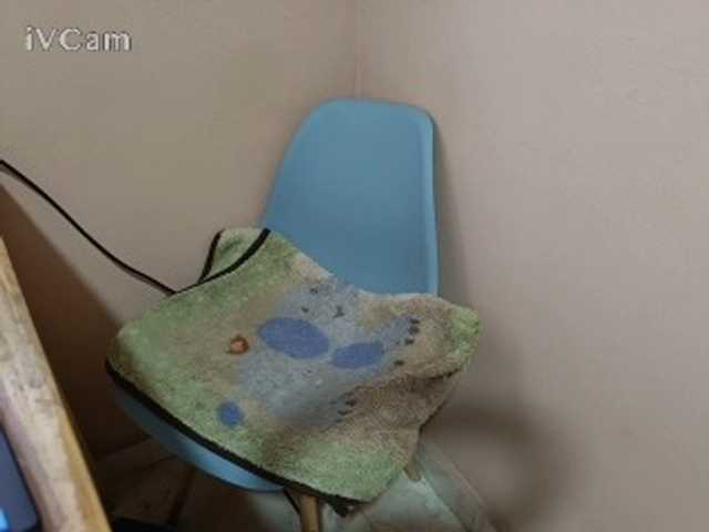 Missaudreys live webcam show