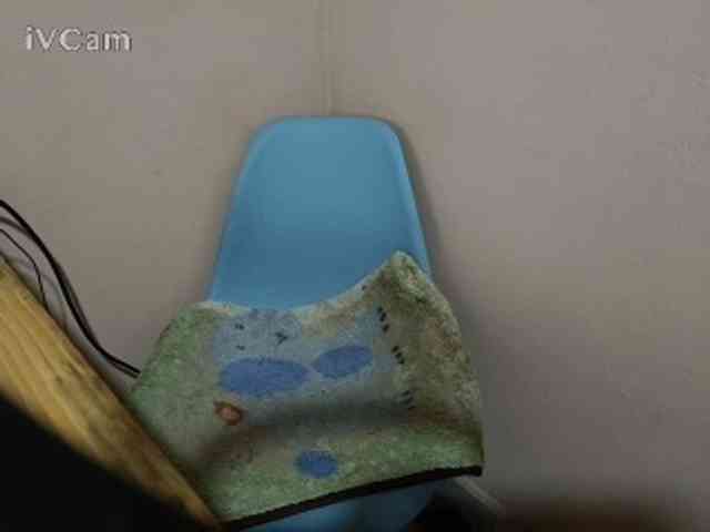 Missaudreys webcam