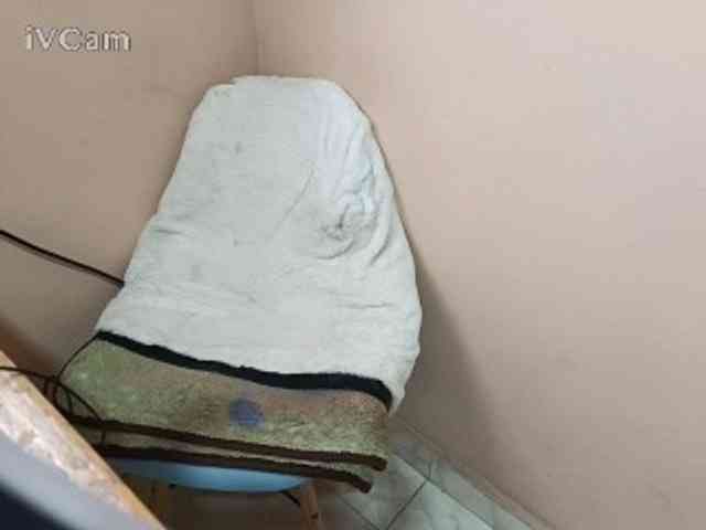Missaudreys webcam