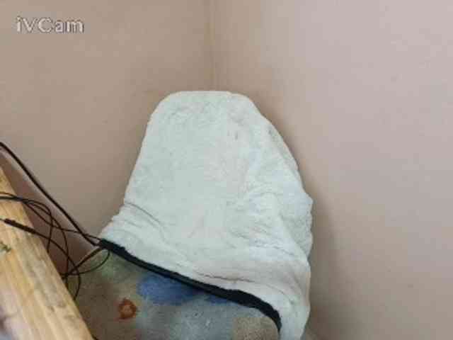 Missaudreys webcam