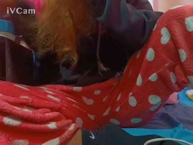Missaudreys