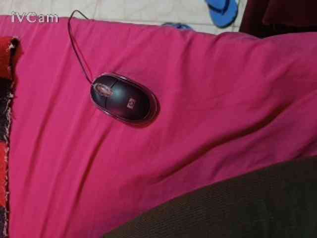 Missaudreys webcam