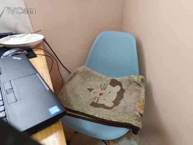 Missaudreys webcam