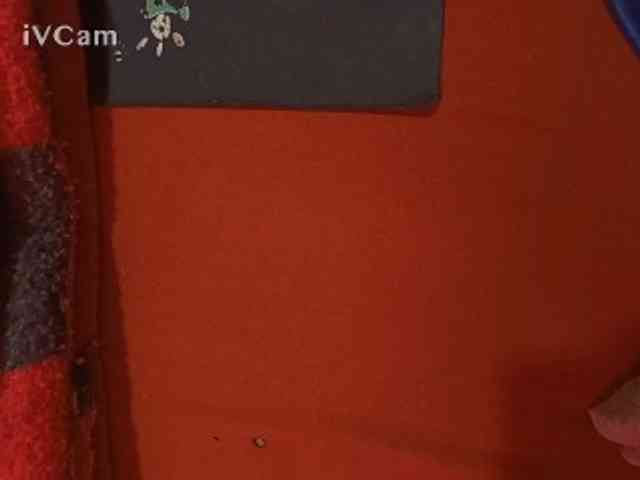 Missaudreys webcam
