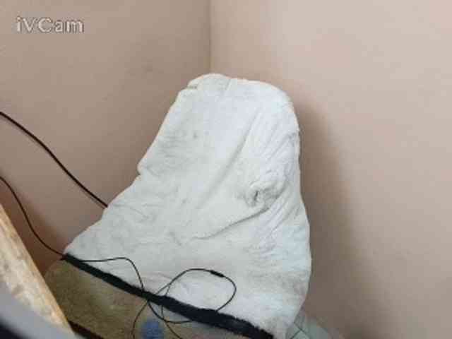Missaudreys webcam