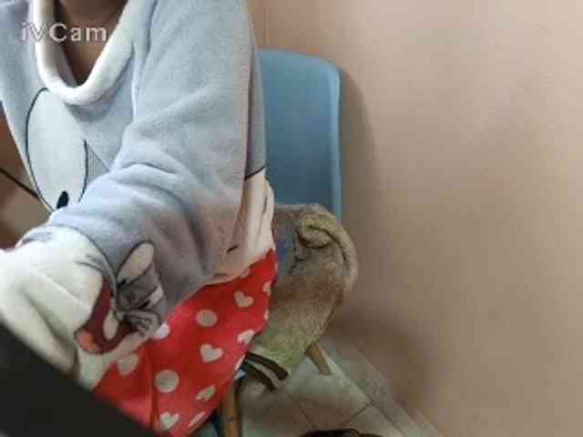 Missaudreys webcam