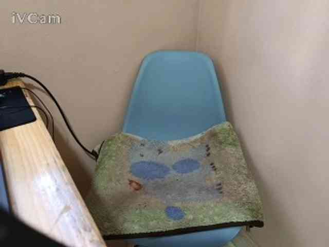 Missaudreys webcam