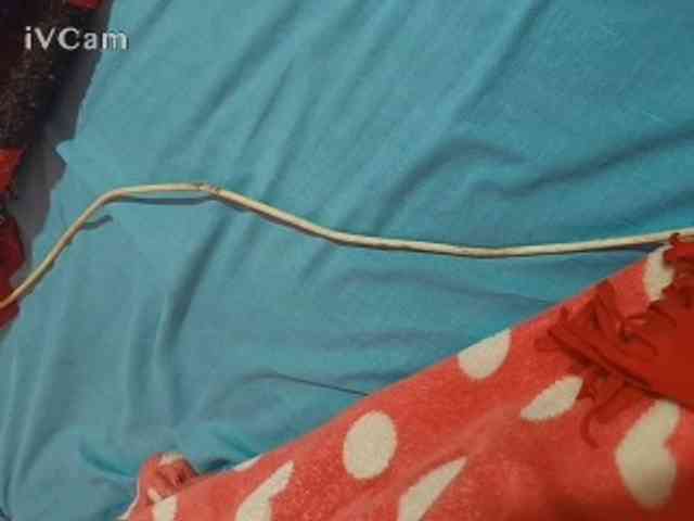 Missaudreys webcam