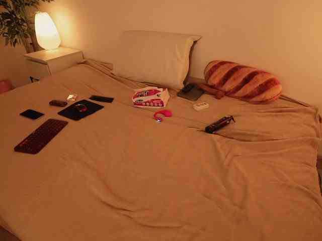 STANOVAYA300KG webcam