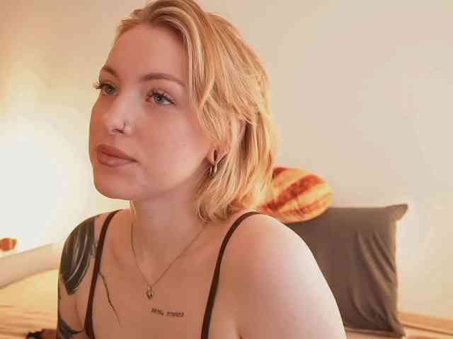 STANOVAYA300KG webcam