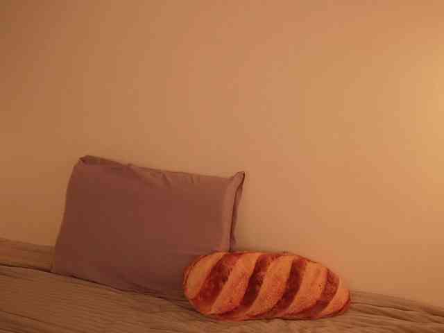 STANOVAYA300KG webcam