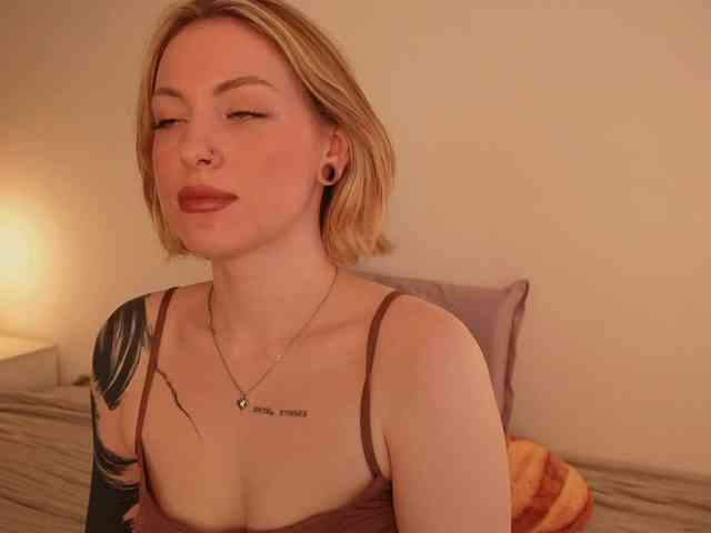 STANOVAYA300KG webcam