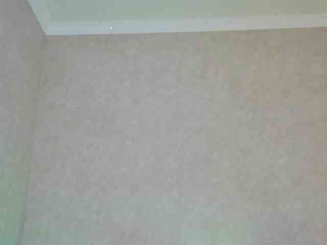 Rosea webcam