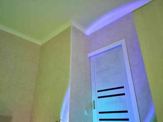 Rosea webcam