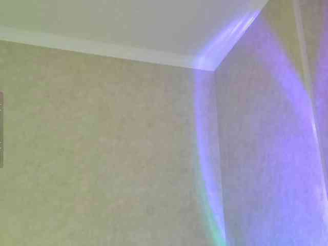 Rosea webcam